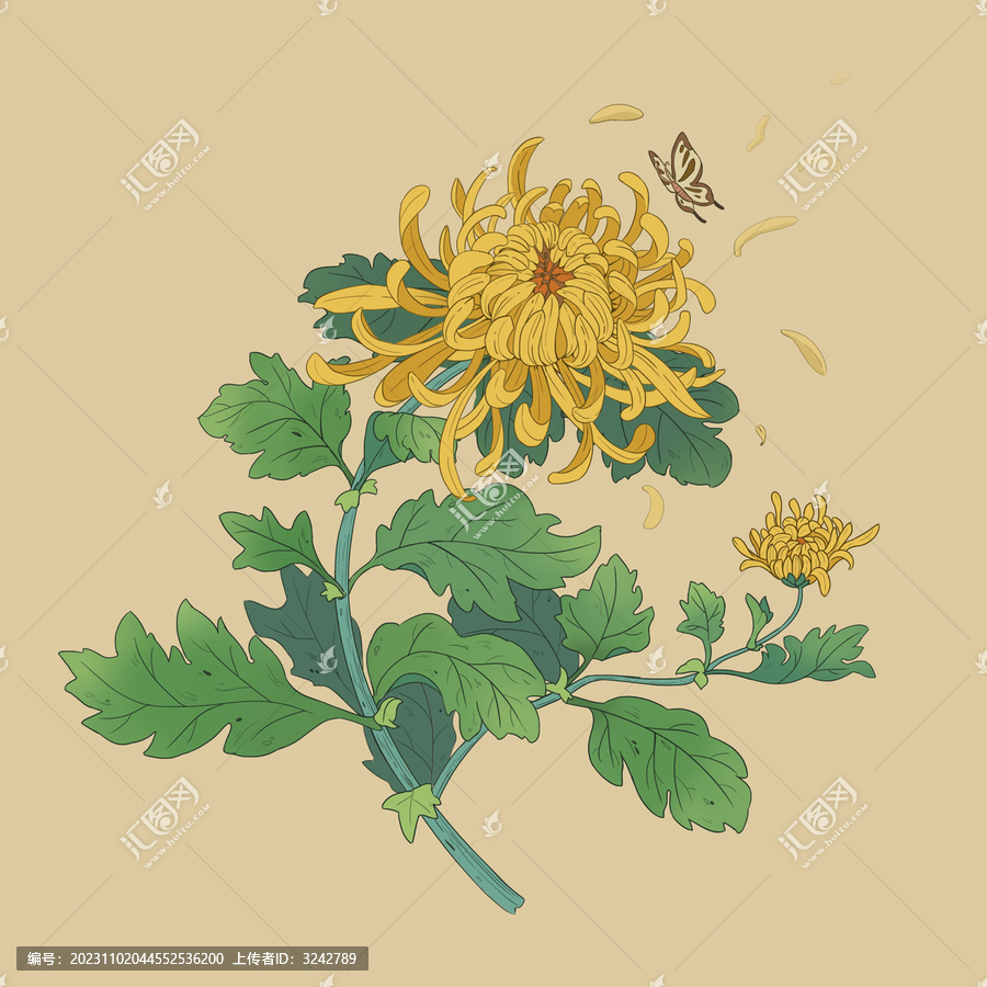手繪復古風格金絲皇菊花鳥畫