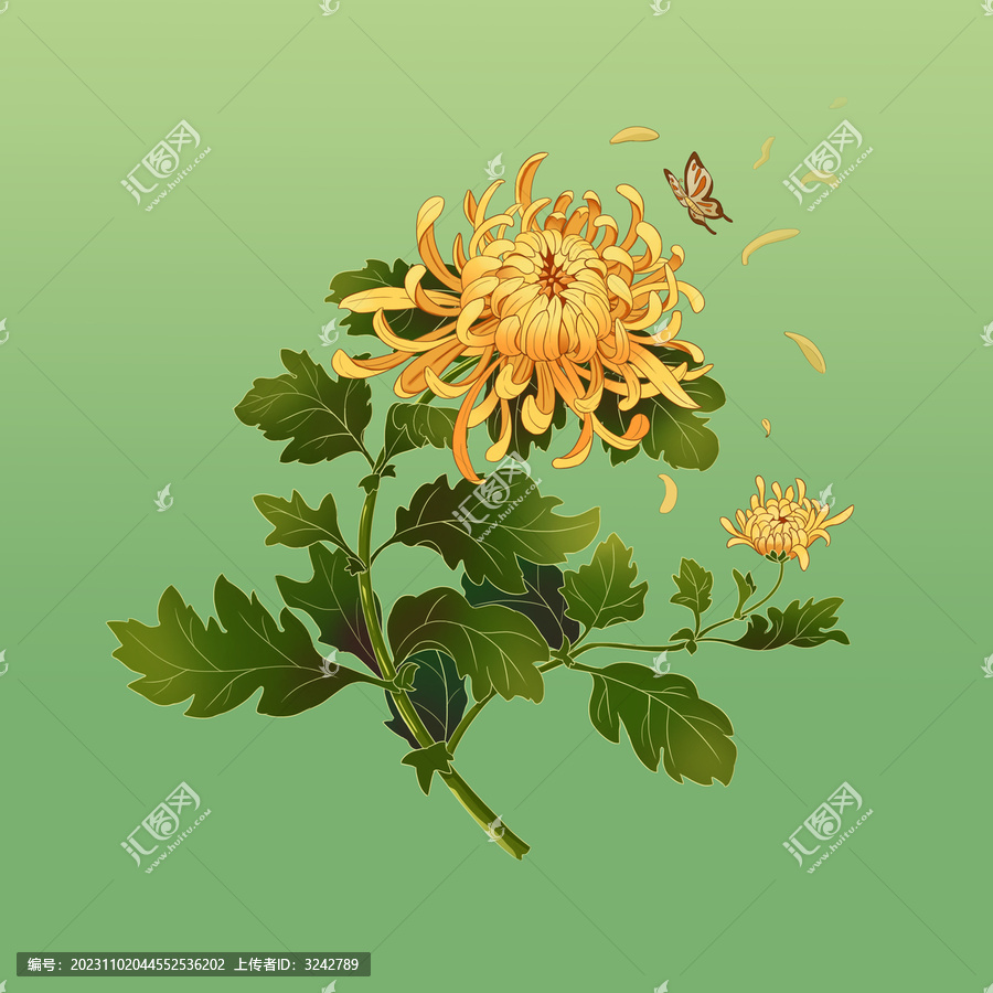 手繪國潮風格金絲皇菊花鳥畫