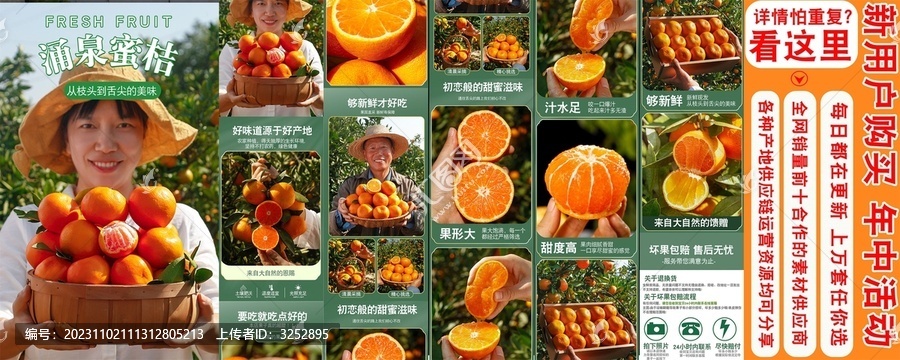 涌泉蜜橘詳情