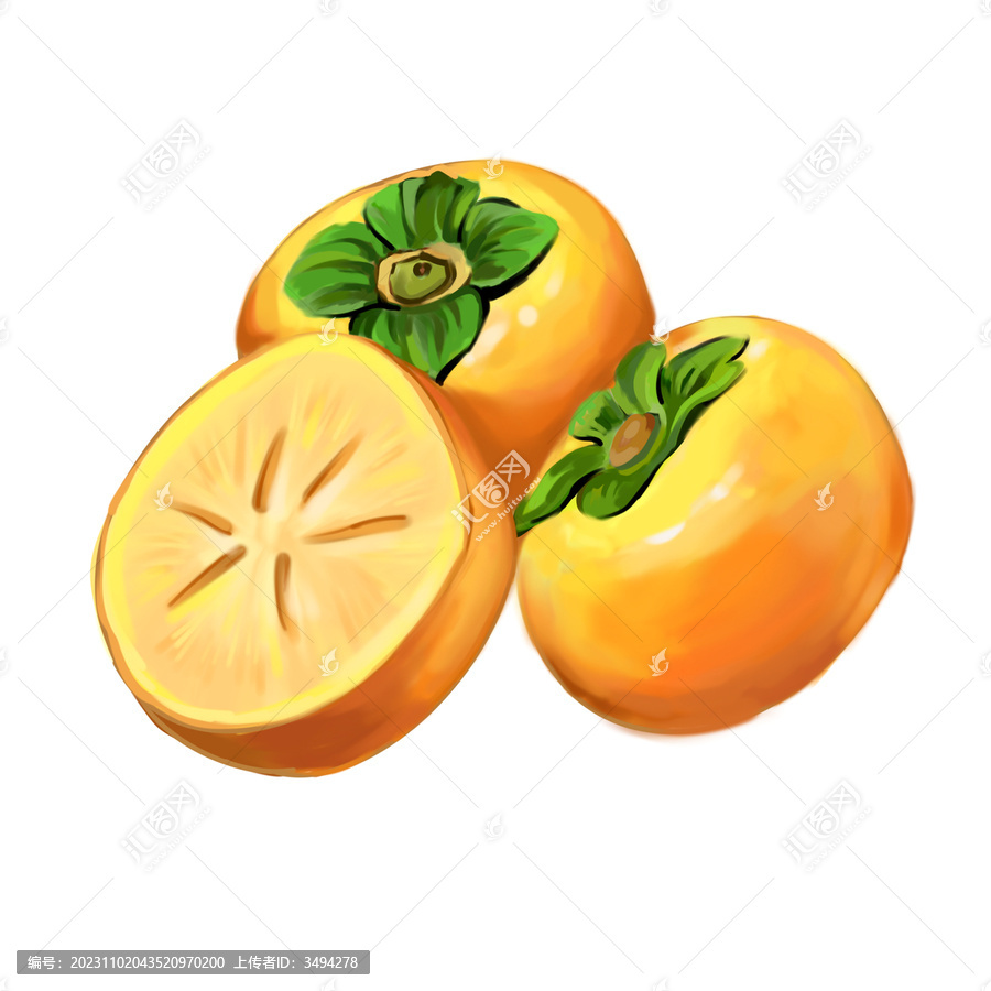 柿子插畫