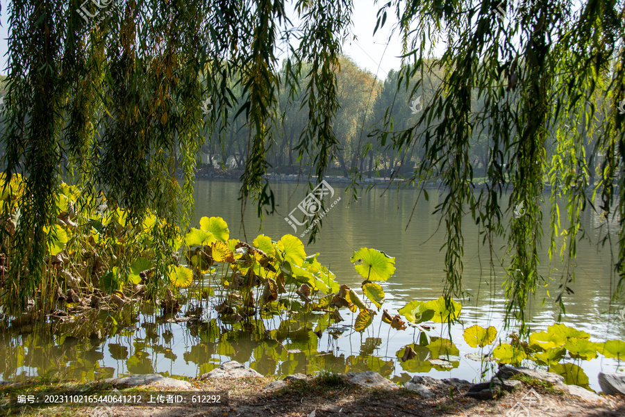 秋日湖边风景