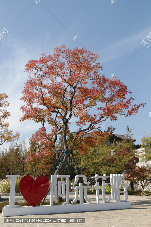 阿朵花屿小镇