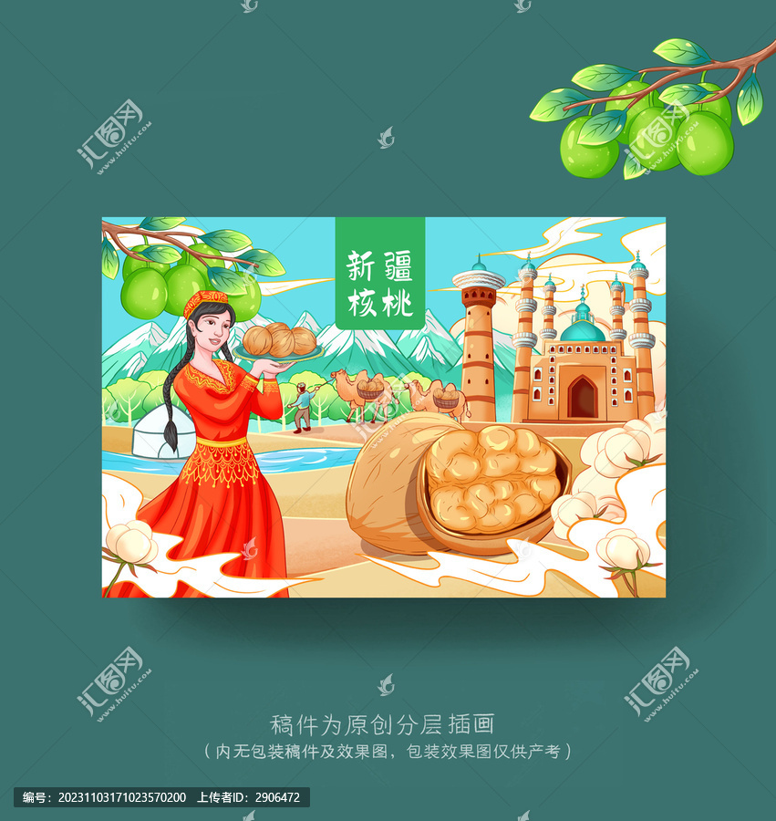 核桃包裝插畫