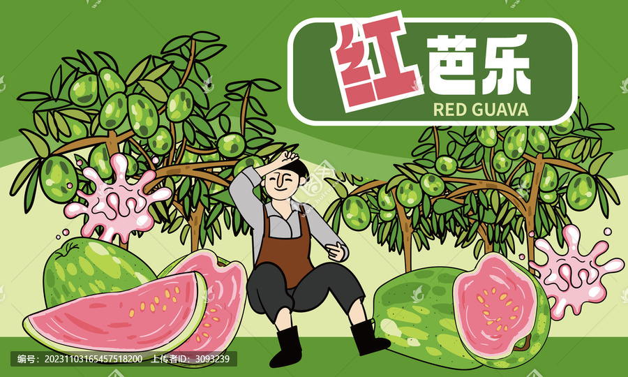 紅心番石榴插畫包裝