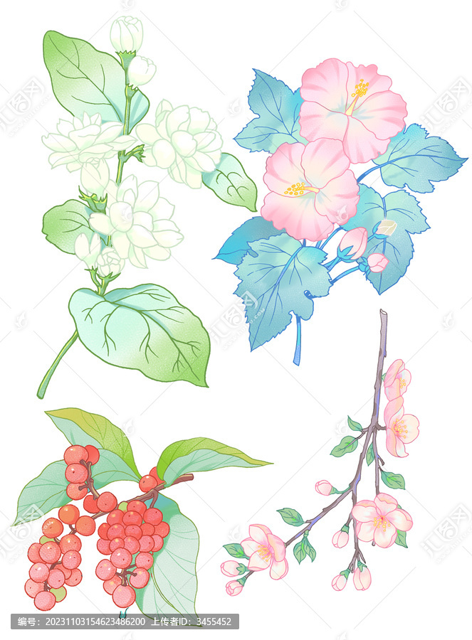 花卉