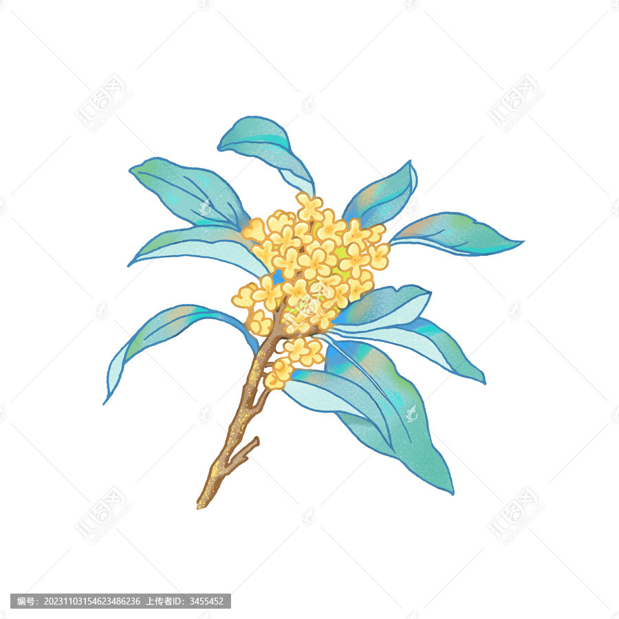 桂花單枝