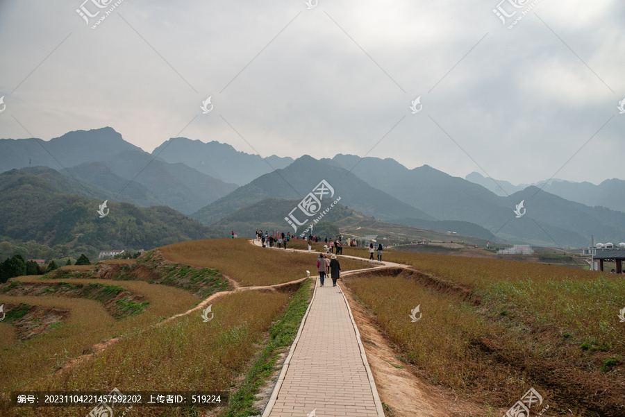 蓝田荞麦岭景区