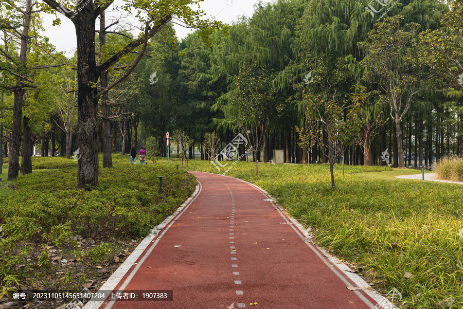 城市林间散步道