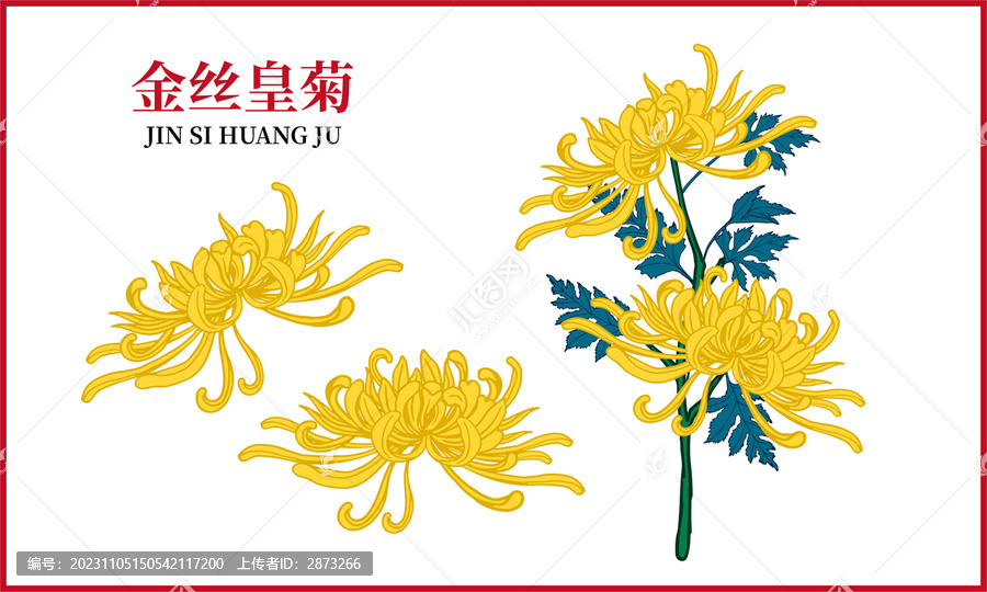 金絲皇菊