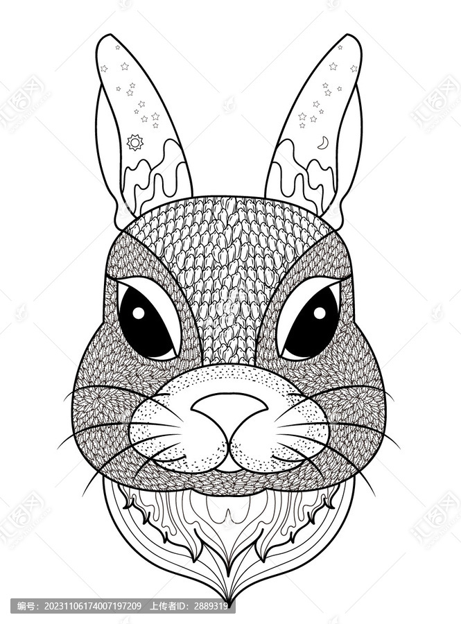 十二生肖兔子插画兔头