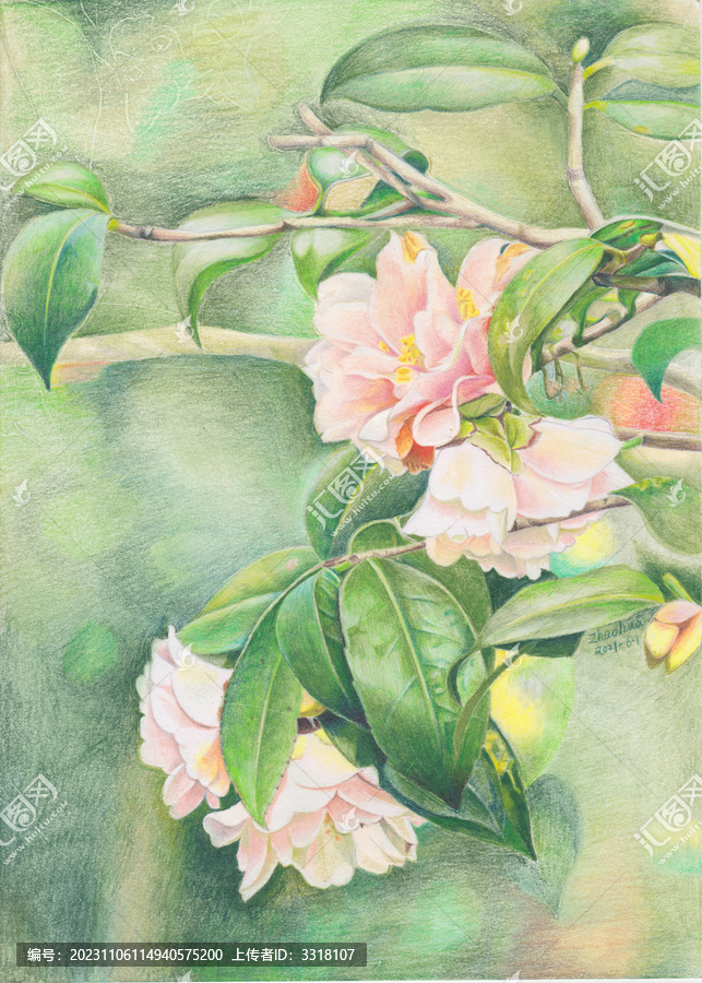 花手繪彩鉛裝飾畫