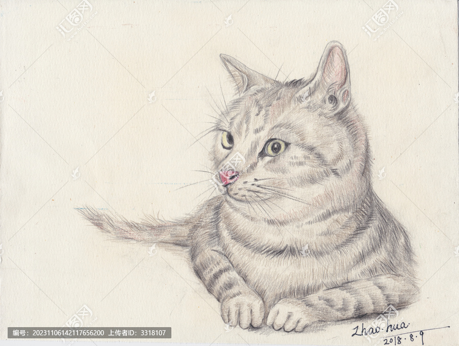 猫手绘彩铅装饰画