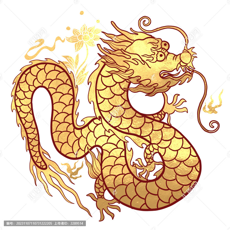 新春龍年金龍圖案