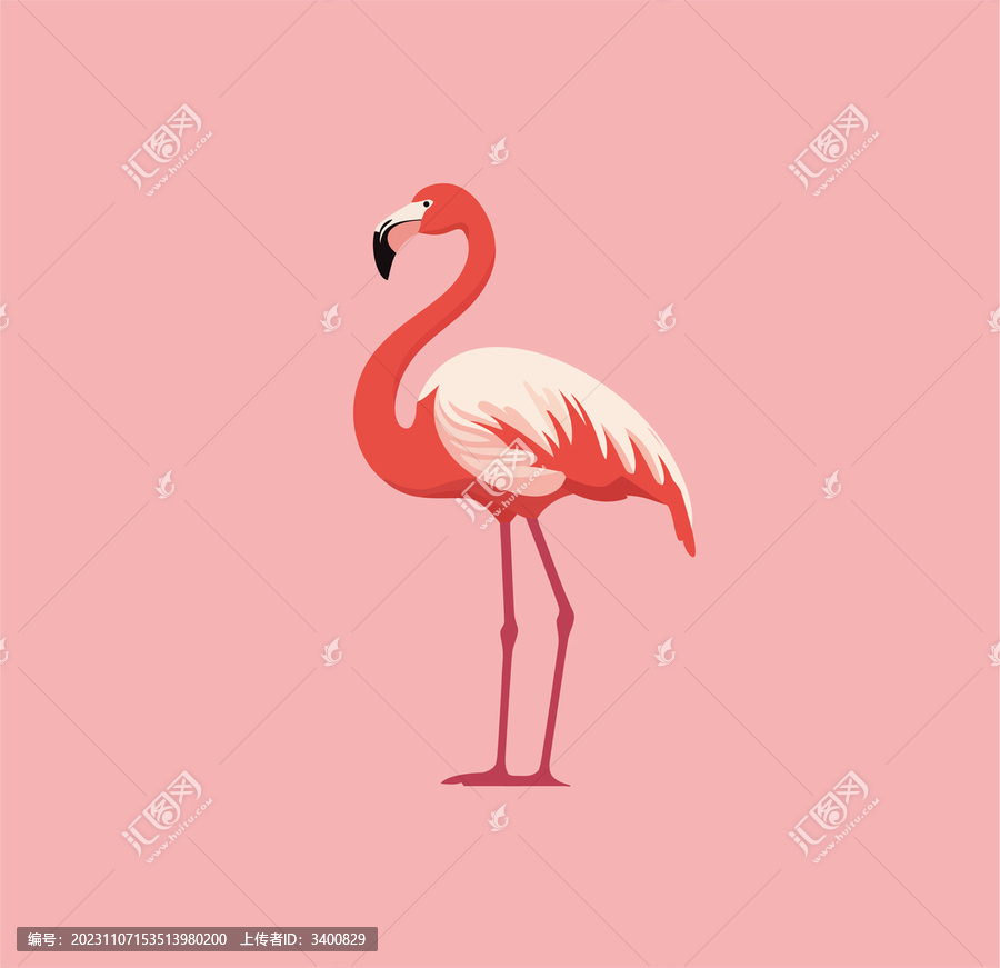 火烈鳥(niǎo)圖案
