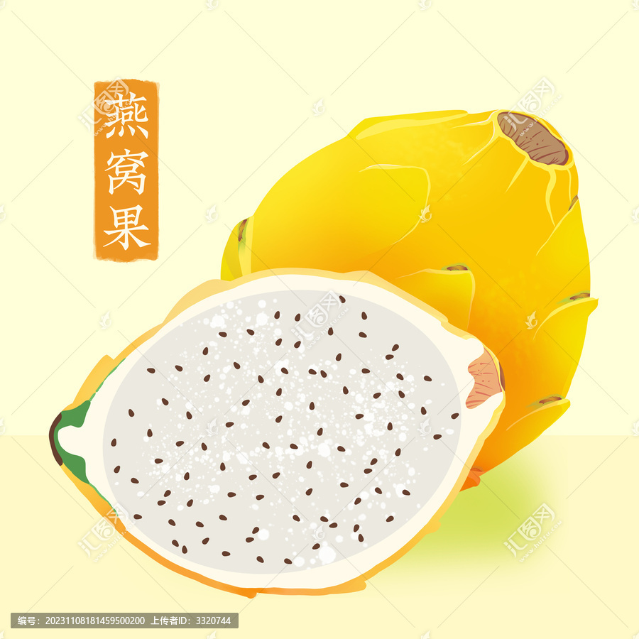 手繪燕窩果插畫