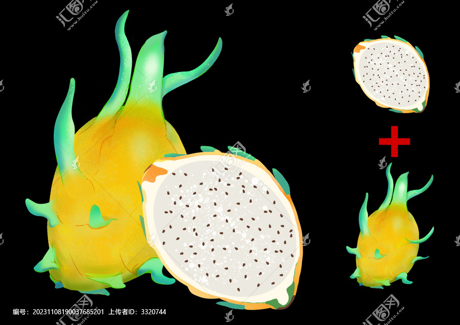 白心黃色火龍果手繪插畫
