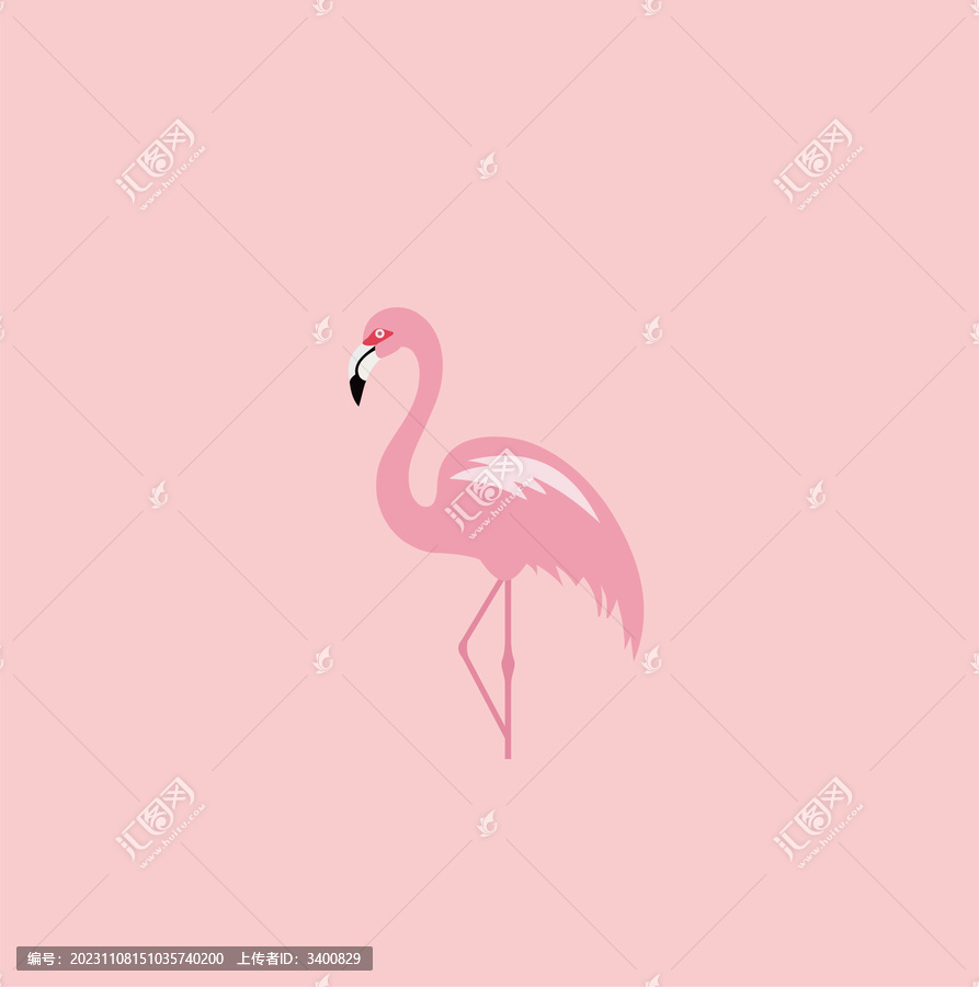 火烈鳥圖案