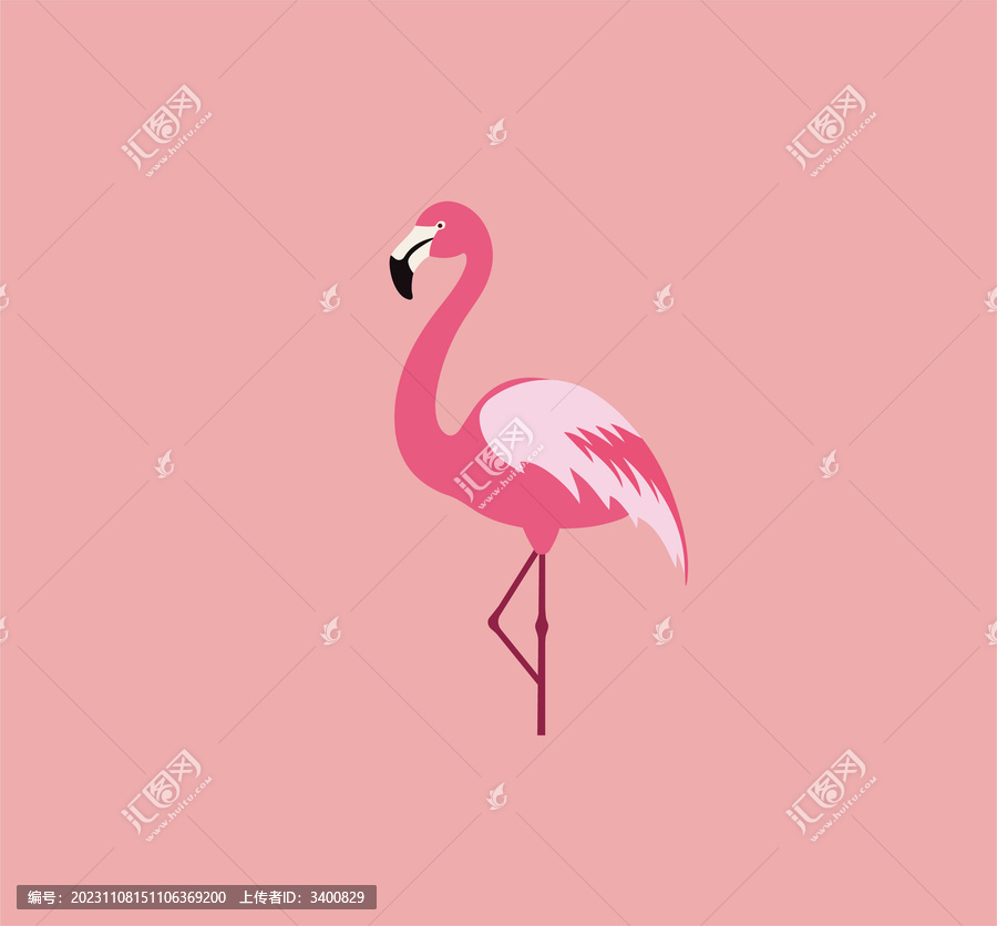 火烈鳥圖案
