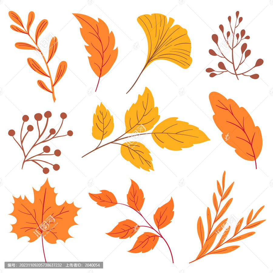 秋天植物树叶素材银杏叶枫叶