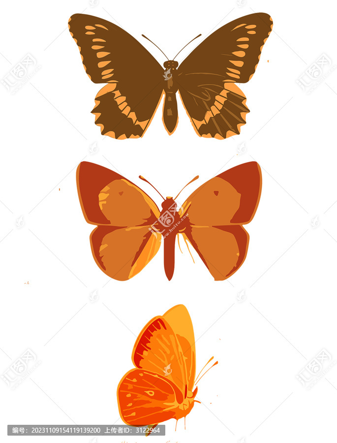 扁平风彩色蝴蝶自然图案素材