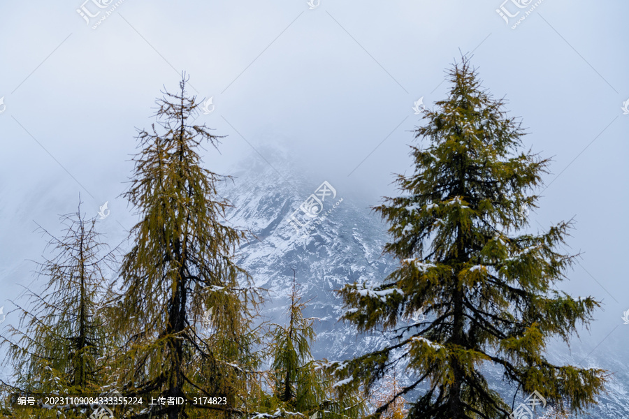 毕棚沟雪山