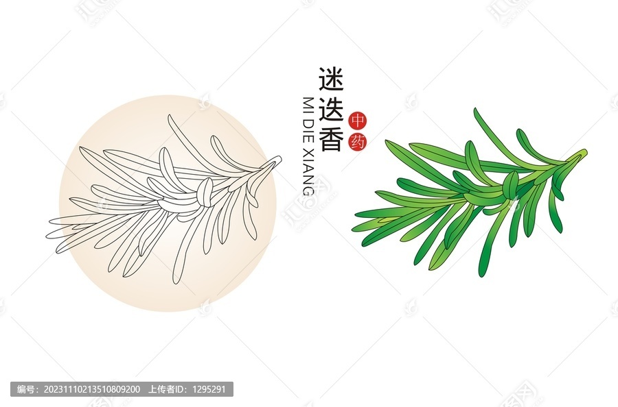 迷迭香