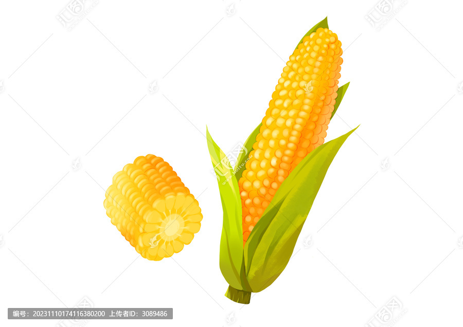 金黃色的玉米