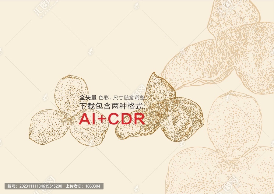 陳皮手繪陳皮插畫新會陳皮線描