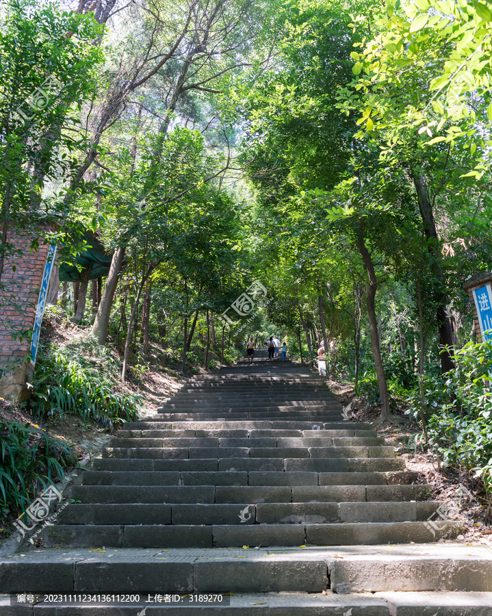 歌乐山登山步道