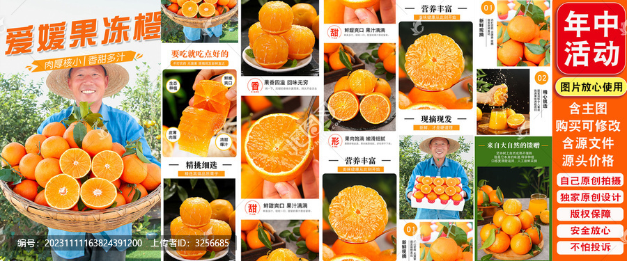 愛媛果凍橙詳情