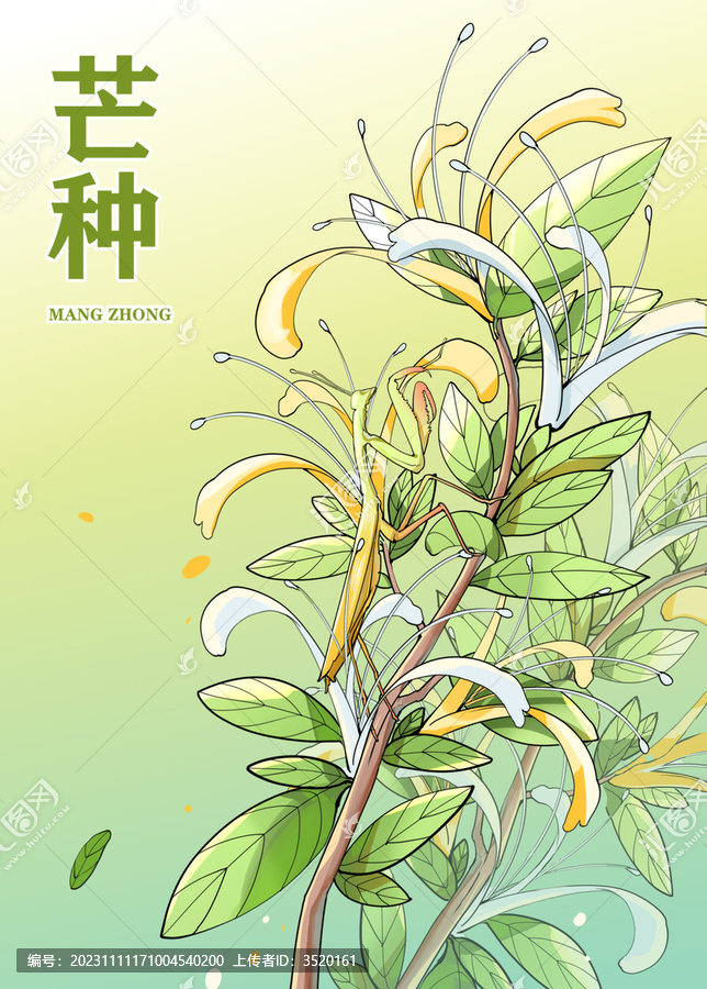 節(jié)氣芒種