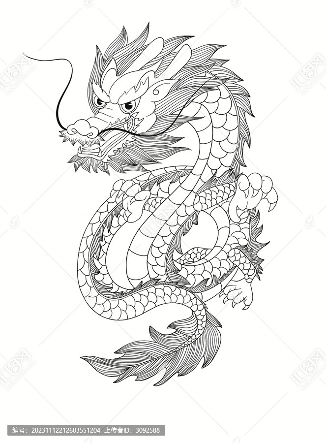 線描龍