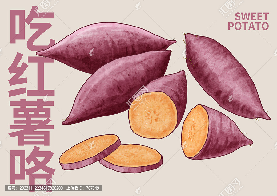　水彩紅薯插畫(huà)