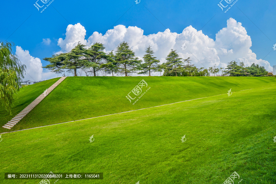 斜坡草坪台阶