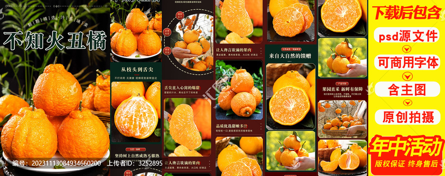 不知火丑橘詳情