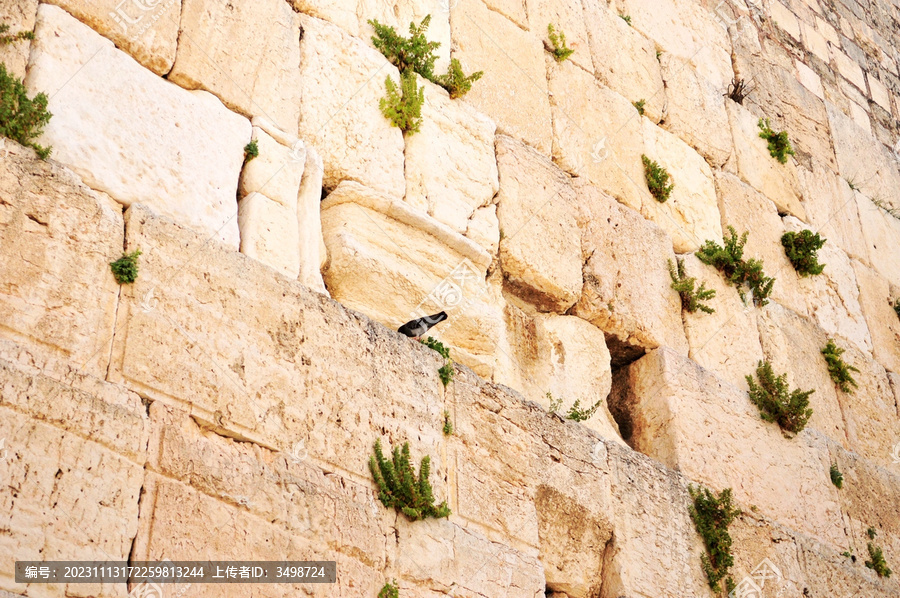 以色列耶路撒冷西墙局部特写