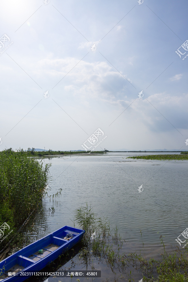 夏日湖边景色