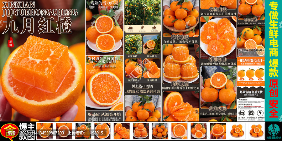 臍橙九月紅橙詳情主圖
