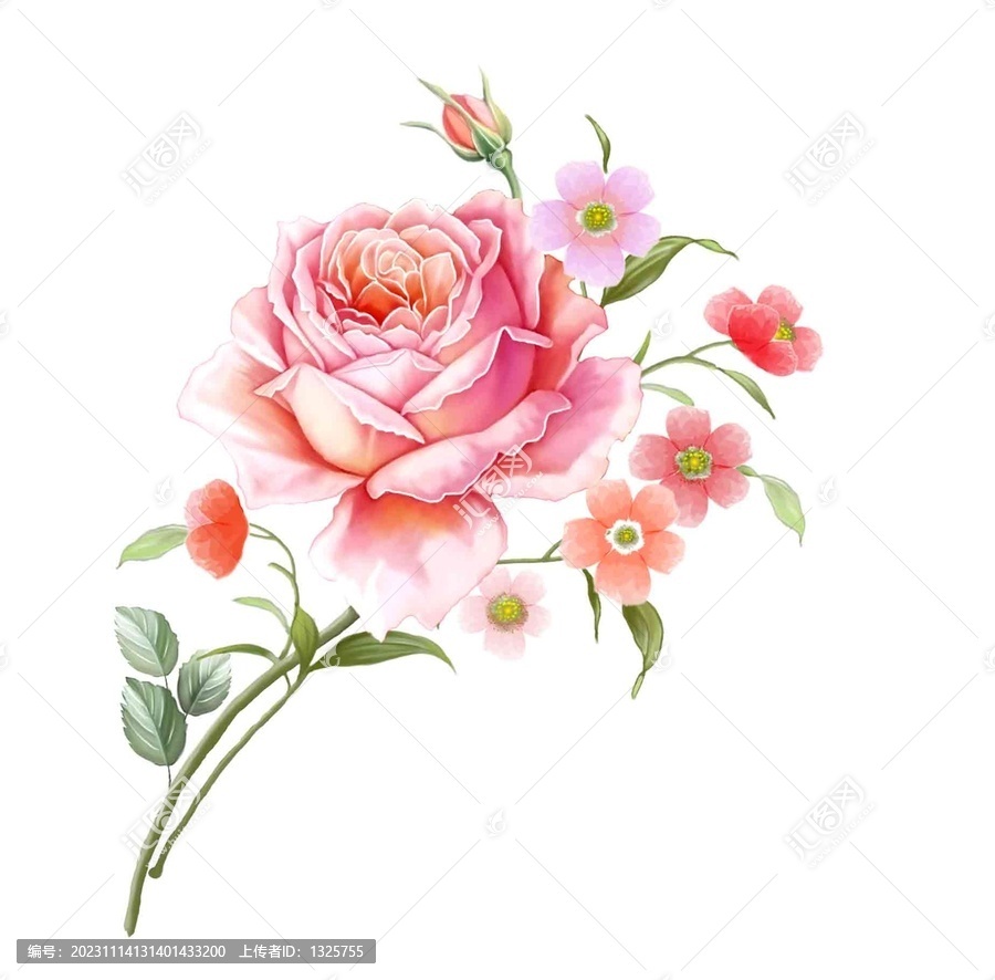 玫瑰花