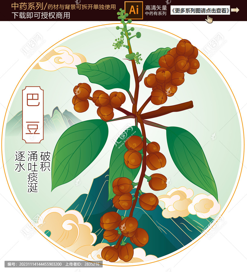 巴豆