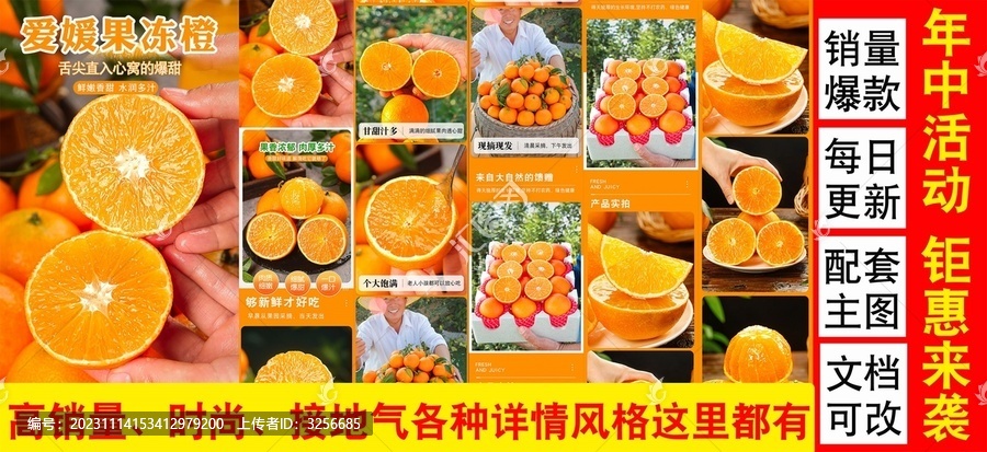 愛媛果凍橙詳情