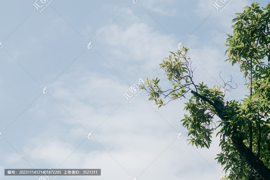 晴空