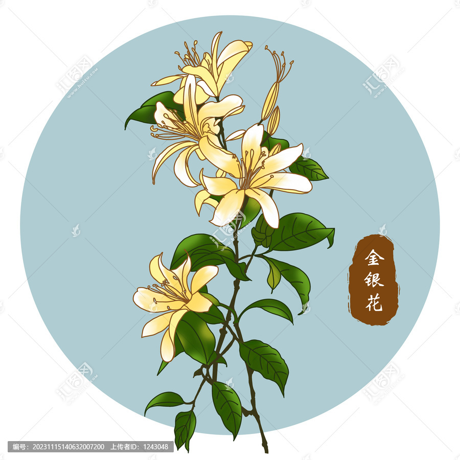 金銀花
