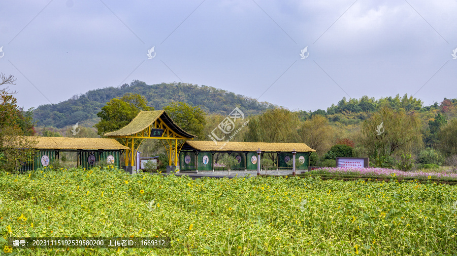 南京高淳桥里高村景区