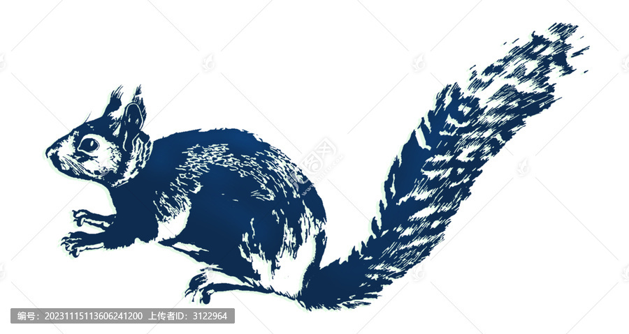 藍(lán)色松鼠線條簡(jiǎn)約素材