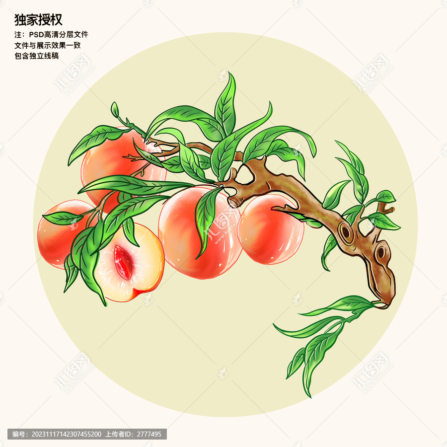 水蜜桃插畫