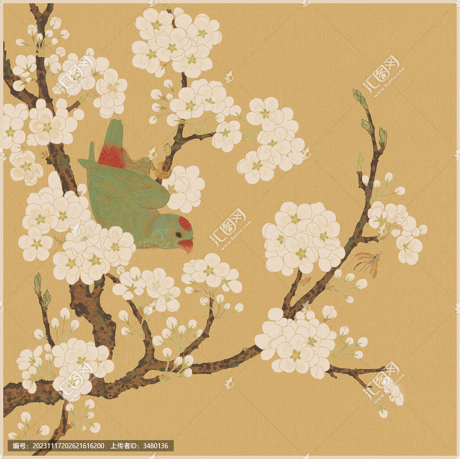 梨花手繪插畫