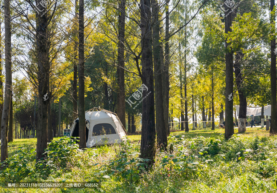 公园帐篷野营