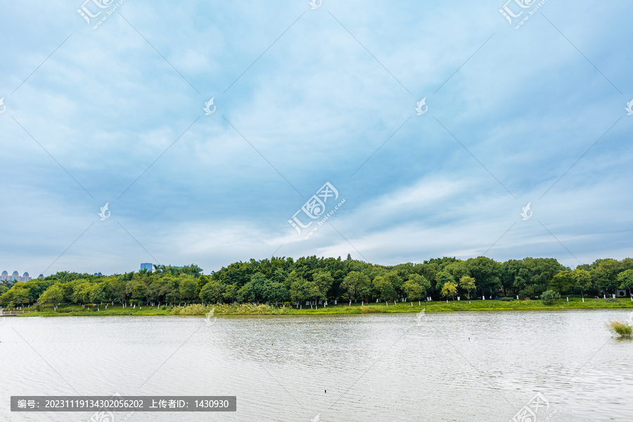 广州海珠湖湿地公园