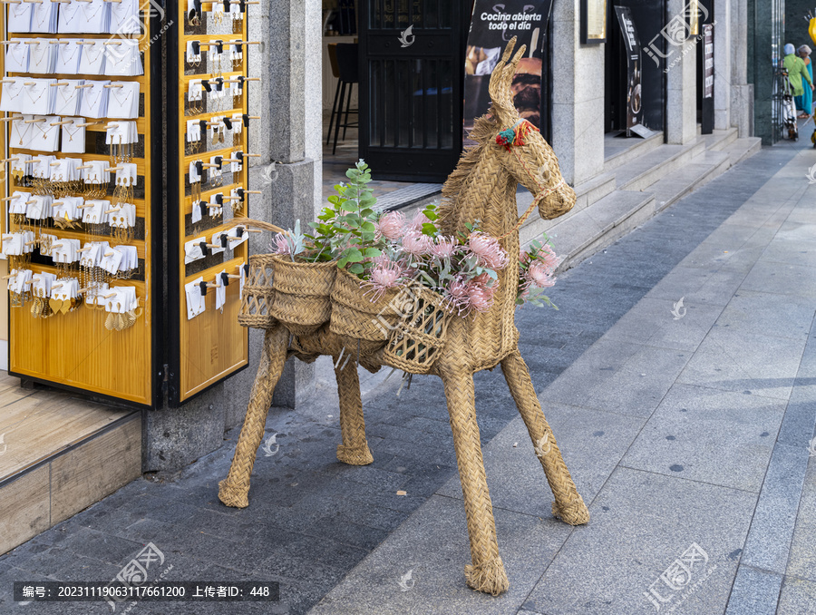 草编毛驴